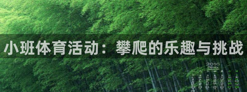 三亿体育网：小班体育活动：攀爬的乐趣与挑战