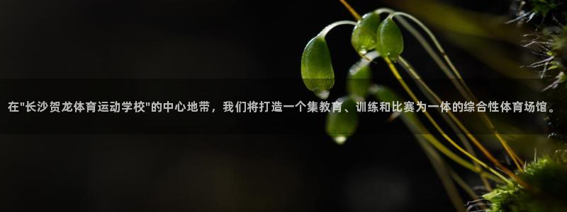 三亿体育网：在\