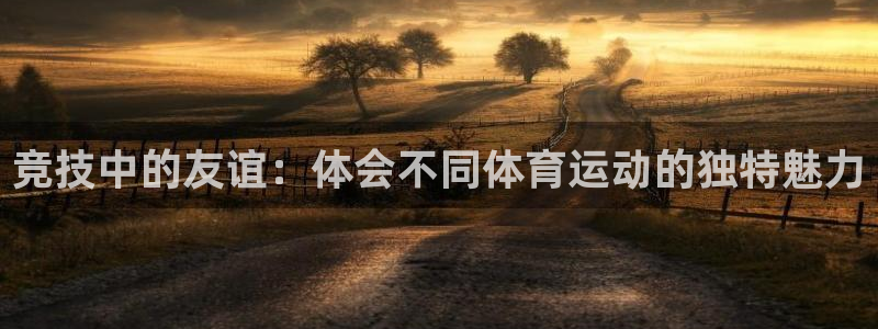 三亿体育网页版：竞技中的友谊：体会不同体育运动的独特魅力