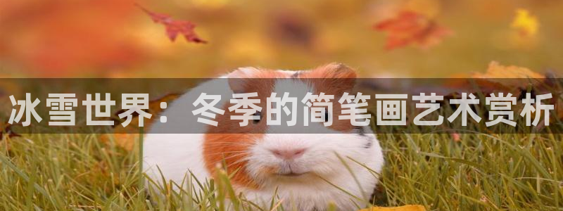 三亿体育网页版：冰雪世界：冬季的简笔画艺术赏析