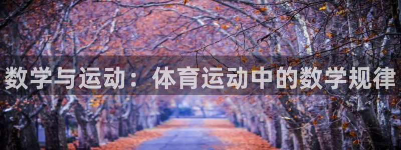 三亿体育：数学与运动：体育运动中的数学规律