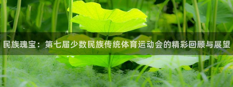 三亿体育：民族瑰宝：第七届少数民族传统体育运动会的精彩回顾与展望
