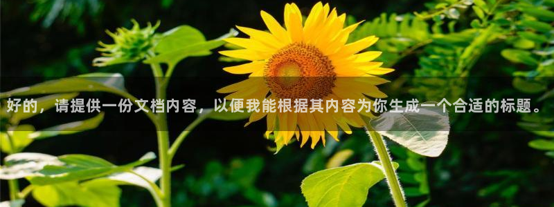 三亿体育网页版：好的，请提供一份文档内容，以便我能根据其内容为你生成一个合适的标题。