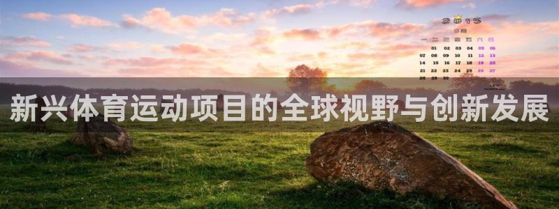 三亿体育网页版：新兴体育运动项目的全球视野与创新发展
