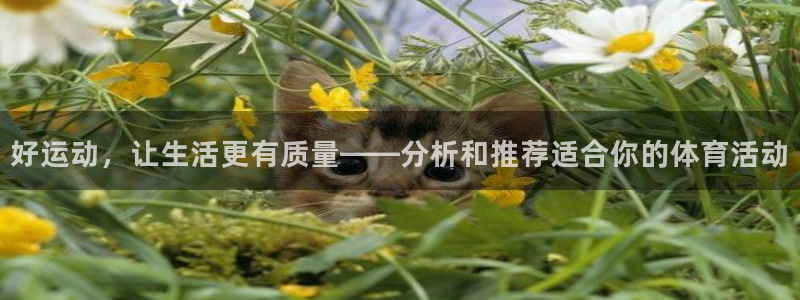三亿体育网页版：好运动，让生活更有质量——分析和推荐适合你的体育活动