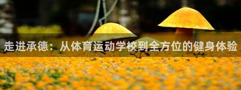 三亿体育网：走进承德：从体育运动学校到全方位的健身体验